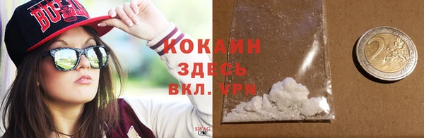индика Беломорск