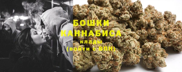 индика Беломорск