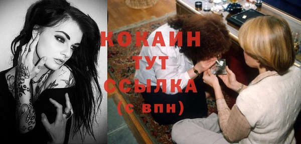 индика Беломорск