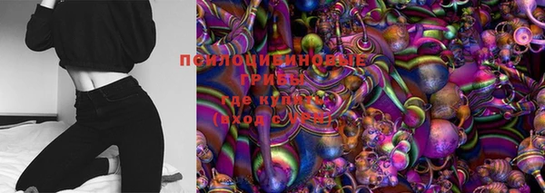 индика Беломорск
