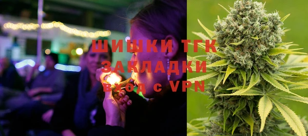 индика Беломорск